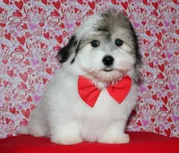 processed/da524858-4a23-4cb9-a676-86aec85860e9/listing/e7269d16-0912-4fc3-99c5-8c832f7469c3/0201b329-bdfd-4f1e-887e-e67b22904570