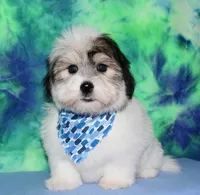 processed/da524858-4a23-4cb9-a676-86aec85860e9/listing/e7269d16-0912-4fc3-99c5-8c832f7469c3/16397625-798b-401d-b32b-dfa337e18a8c