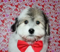 processed/da524858-4a23-4cb9-a676-86aec85860e9/listing/e7269d16-0912-4fc3-99c5-8c832f7469c3/4bc2f96d-c04d-47a8-aa61-b864737c3071