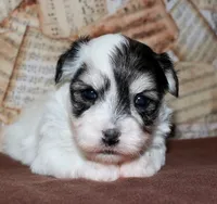 processed/da524858-4a23-4cb9-a676-86aec85860e9/listing/e7269d16-0912-4fc3-99c5-8c832f7469c3/65db074b-ae5b-482b-a528-bca392a2cbc5