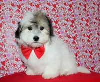 processed/da524858-4a23-4cb9-a676-86aec85860e9/listing/e7269d16-0912-4fc3-99c5-8c832f7469c3/6f0ac7cb-b30e-43fe-a641-d2373051fb2b