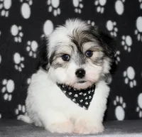 processed/da524858-4a23-4cb9-a676-86aec85860e9/listing/e7269d16-0912-4fc3-99c5-8c832f7469c3/c2199db3-b63e-45e9-8e55-6724faaf284b