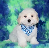 processed/da524858-4a23-4cb9-a676-86aec85860e9/listing/fb7ae386-7239-4af9-92f2-d3a434ebee87/02344d7a-945f-44b8-be6c-b66538fb0555