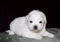 processed/da524858-4a23-4cb9-a676-86aec85860e9/listing/fb7ae386-7239-4af9-92f2-d3a434ebee87/12ebb0da-ba65-4edb-9eb5-0156393c8471