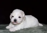 processed/da524858-4a23-4cb9-a676-86aec85860e9/listing/fb7ae386-7239-4af9-92f2-d3a434ebee87/3b5b6906-8d80-4cae-b119-c86124d0db9b