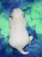 processed/da524858-4a23-4cb9-a676-86aec85860e9/listing/fb7ae386-7239-4af9-92f2-d3a434ebee87/433ab2c5-22d5-4f7e-aea3-707f162d9666