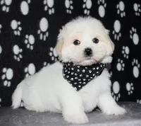 processed/da524858-4a23-4cb9-a676-86aec85860e9/listing/fb7ae386-7239-4af9-92f2-d3a434ebee87/82343efa-832b-423a-a4da-57d72380c4b5