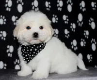 processed/da524858-4a23-4cb9-a676-86aec85860e9/listing/fb7ae386-7239-4af9-92f2-d3a434ebee87/9b12bc4a-061d-4849-8d83-d462895c05fc