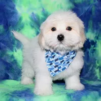 processed/da524858-4a23-4cb9-a676-86aec85860e9/listing/fb7ae386-7239-4af9-92f2-d3a434ebee87/acbb1c7d-f251-489b-a5a8-2b74d3fa8480