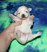 processed/da524858-4a23-4cb9-a676-86aec85860e9/listing/fb7ae386-7239-4af9-92f2-d3a434ebee87/c20eb873-55ec-49fc-a843-3e32afba9cd0