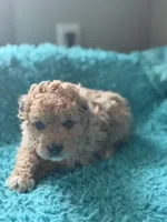 processed/da719365-c44e-4b66-8a86-027585804479/listing/9cd9695d-07ed-436e-a512-19d40f587a59/d1b5126d-a0b6-45ec-b5f4-f2eb610f0815