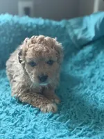 processed/da719365-c44e-4b66-8a86-027585804479/listing/9cd9695d-07ed-436e-a512-19d40f587a59/dc48ae1f-cb18-40e2-b9bb-bcd737d961d3