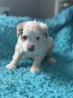 processed/da719365-c44e-4b66-8a86-027585804479/listing/cd6e3e95-7838-4e3a-b90a-b0c919f80c95/ab0ef836-d5e5-4b00-9a79-6af4a018ae87