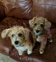 processed/da72a958-63bf-4797-b10c-f5f0f15e01c9/facility/06a37913-22a6-46d1-b867-3d8c4d8aa96f