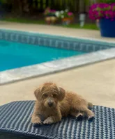 processed/da72a958-63bf-4797-b10c-f5f0f15e01c9/facility/cc8e2132-2441-4126-b315-20f8338af37b