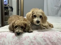 processed/da72a958-63bf-4797-b10c-f5f0f15e01c9/facility/fc04a51d-5f1b-4dbe-8167-fc60a1d8bac2