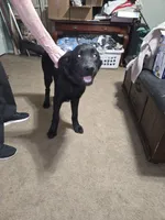 processed/da7a7012-6ff1-4193-b036-587a57c5f11a/listing/79e87dd1-5fab-4b97-99df-e344b25b1418/dfddeea5-9dd5-499d-a471-101a4a0938e6