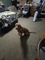 processed/da7a7012-6ff1-4193-b036-587a57c5f11a/listing/fa0d4e5f-2e50-4369-a9ed-3fb9167f0c4b/24479c57-6945-4965-9a8d-f5c555702749