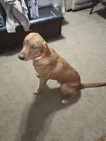 processed/da7a7012-6ff1-4193-b036-587a57c5f11a/listing/fa0d4e5f-2e50-4369-a9ed-3fb9167f0c4b/5a0e54c3-c1d8-4675-a5e9-97ee73f4a5b9