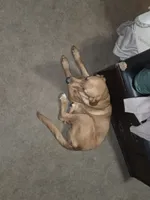 processed/da7a7012-6ff1-4193-b036-587a57c5f11a/listing/fa0d4e5f-2e50-4369-a9ed-3fb9167f0c4b/864015fa-5305-4079-8a82-398b15f6d27f