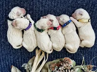 processed/da852605-a76f-4c26-adea-e307e4770ae8/facility/17b58280-e7c1-47a6-8e75-4dfc94a7946f