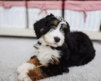 processed/da852605-a76f-4c26-adea-e307e4770ae8/facility/4a76575e-90ab-4d30-b094-3dfd27c6ec5e