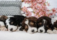 processed/da852605-a76f-4c26-adea-e307e4770ae8/facility/80c330f0-df07-4c2a-b948-82545cf3593b