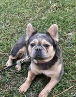 processed/da887d59-f8c1-4b94-b28e-2d4a0da48154/listing/affb5717-b87f-4c0c-bc56-d715e7bccb32/2aac6861-d9ea-40f3-be27-f33414946352