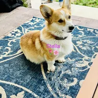 processed/da8decc6-df13-432c-b71c-0de317827698/facility/3e2fa48f-38f1-4597-842a-5f8b6409b1e4