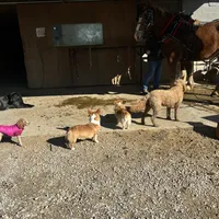 processed/da8decc6-df13-432c-b71c-0de317827698/facility/690a1ae7-1174-40ae-b005-a8392a88959b