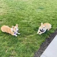 processed/da8decc6-df13-432c-b71c-0de317827698/facility/6b5be0b2-9e48-43c1-b29c-6b252f647b87