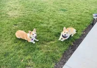 processed/da8decc6-df13-432c-b71c-0de317827698/facility/6b5be0b2-9e48-43c1-b29c-6b252f647b87