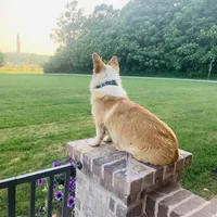 processed/da8decc6-df13-432c-b71c-0de317827698/facility/790aeba9-2f45-455e-ab23-6083302c6147