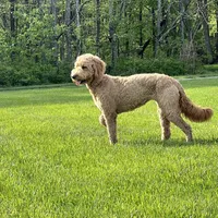 processed/da8decc6-df13-432c-b71c-0de317827698/facility/97326ef2-fa01-4768-ab89-343ae4786149