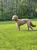 processed/da8decc6-df13-432c-b71c-0de317827698/facility/97326ef2-fa01-4768-ab89-343ae4786149