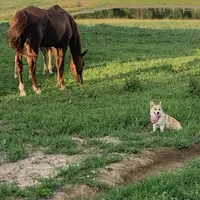 processed/da8decc6-df13-432c-b71c-0de317827698/facility/9a6e1827-b7ca-4e90-88cc-f9a06d01aeb5