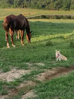 processed/da8decc6-df13-432c-b71c-0de317827698/facility/9a6e1827-b7ca-4e90-88cc-f9a06d01aeb5