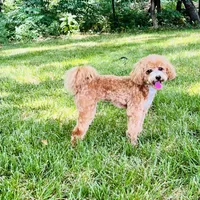 processed/da8decc6-df13-432c-b71c-0de317827698/facility/a2042ebf-7432-4212-8c83-e101141966ff