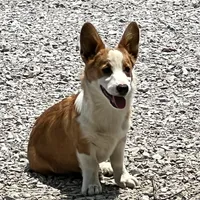 processed/da8decc6-df13-432c-b71c-0de317827698/facility/d02b9855-d7a2-4d44-b1a4-8ba32ae72dd6