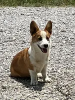 processed/da8decc6-df13-432c-b71c-0de317827698/facility/d02b9855-d7a2-4d44-b1a4-8ba32ae72dd6