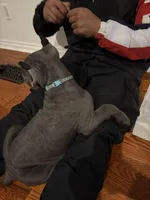 processed/da962238-e3f8-4ae6-bc6a-c23fc69f044c/listing/1d880052-c167-402c-9d61-4501d5919c80/512c47a2-ec01-4aa4-9663-a33dc5ae5942