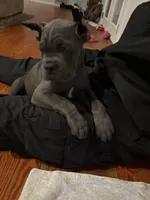 processed/da962238-e3f8-4ae6-bc6a-c23fc69f044c/listing/1d880052-c167-402c-9d61-4501d5919c80/6f8e90f5-611d-4c9e-9922-578a71c6dc97