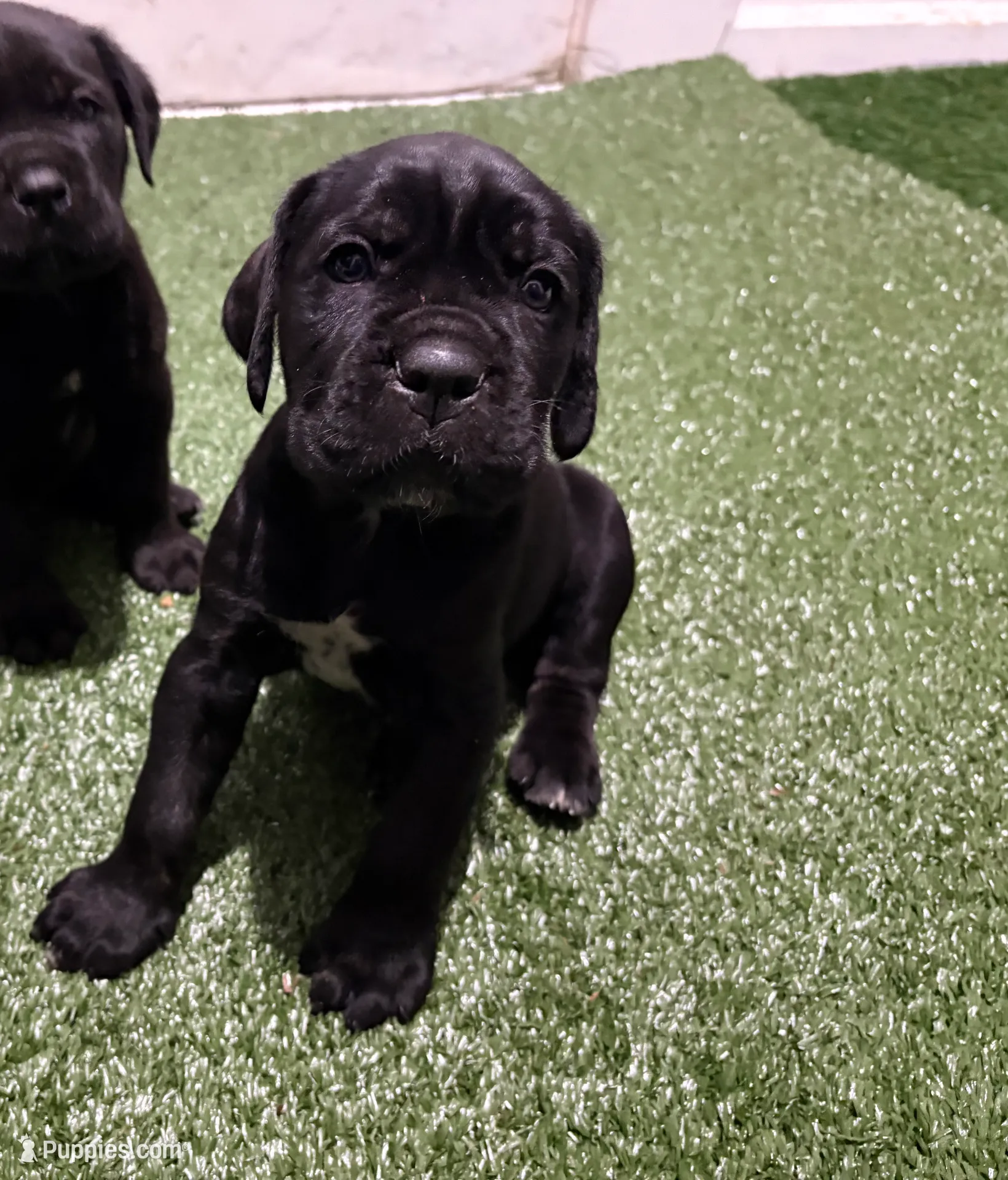 processed/da962238-e3f8-4ae6-bc6a-c23fc69f044c/listing/35c37493-a2d8-4388-a056-76610929fb95/0592f506-edf0-4797-87a8-ac7173778e0e