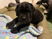 processed/da962238-e3f8-4ae6-bc6a-c23fc69f044c/listing/35c37493-a2d8-4388-a056-76610929fb95/1a0445e2-399b-4bd9-90a3-8486741649d7