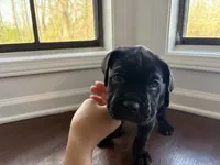 processed/da962238-e3f8-4ae6-bc6a-c23fc69f044c/listing/35c37493-a2d8-4388-a056-76610929fb95/68c18d4b-09d2-4a81-bf7c-6f9f08ff82bd