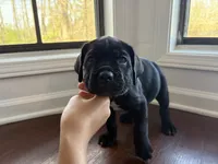 processed/da962238-e3f8-4ae6-bc6a-c23fc69f044c/listing/35c37493-a2d8-4388-a056-76610929fb95/6a1ca115-659e-4c57-b438-a1466039320d