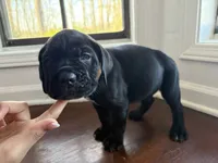 processed/da962238-e3f8-4ae6-bc6a-c23fc69f044c/listing/35c37493-a2d8-4388-a056-76610929fb95/a953331b-2ad0-4b42-802e-8886730d544f