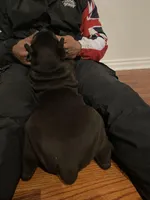 processed/da962238-e3f8-4ae6-bc6a-c23fc69f044c/listing/b35e181d-c5f1-41f4-b78a-36fea33e0f6b/3699a89d-3acc-493d-afc4-07f74b171439