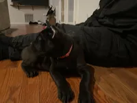 processed/da962238-e3f8-4ae6-bc6a-c23fc69f044c/listing/b35e181d-c5f1-41f4-b78a-36fea33e0f6b/98f6ecbe-fb14-4761-89f8-4f7c0117b0aa