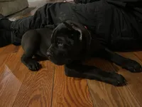 processed/da962238-e3f8-4ae6-bc6a-c23fc69f044c/listing/b35e181d-c5f1-41f4-b78a-36fea33e0f6b/a14798b8-437d-4a01-8619-4da449f9e642